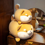 Maple your brave friend