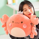 Teddy your gentle companion