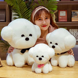 Vivi your emotional shelter