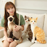 Sunny your soft spoken voice
