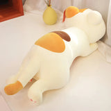 Neko your gentle companion