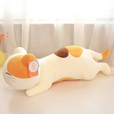 Neko your gentle companion