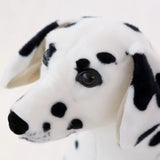 Pongo the Playful Dalmatian