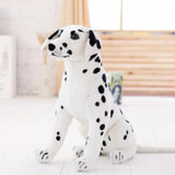 Pongo the Playful Dalmatian