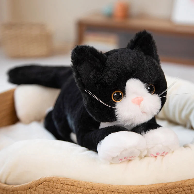 Tomo your bedtime buddy
