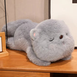 Luna your gentle companion