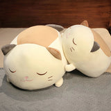Echo your bedtime buddy