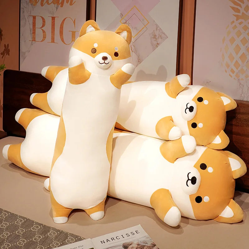 Teddy your steady light