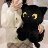Fig your gentle companion