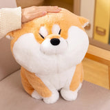 Sage your gentle companion