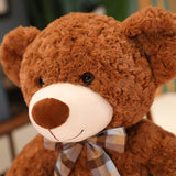 Mimi your gentle companion