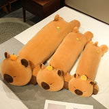 Teddy your emotional shelter