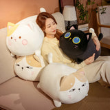 Purr-fect Companions: Adorable Cat Plushies