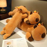 Teddy your emotional shelter