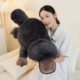 Sunny your bedtime buddy