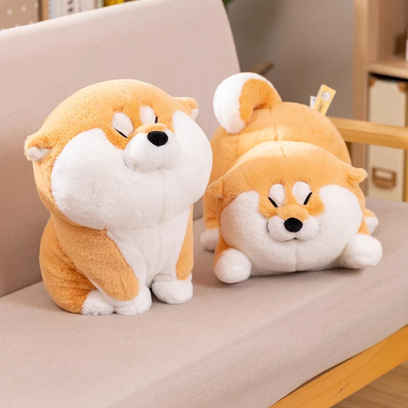 Sage your gentle companion