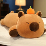 Teddy your emotional shelter